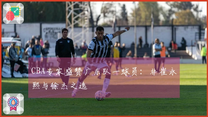 CBA专家盛赞广东队一球员：非崔永熙与徐杰之选