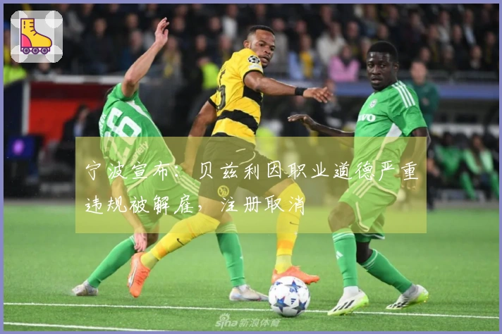 宁波宣布：贝兹利因职业道德严重违规被解雇，注册取消